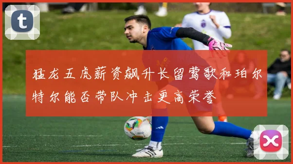 猛龙五虎薪资飙升长留莺歌和珀尔特尔能否带队冲击更高荣誉