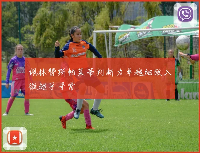 佩林赞斯帕莱蒂判断力卓越细致入微超乎寻常