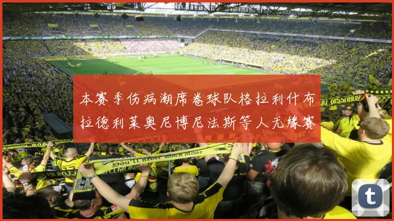 本赛季伤病潮席卷球队格拉利什布拉德利莱奥尼博尼法斯等人无缘赛季余下比赛