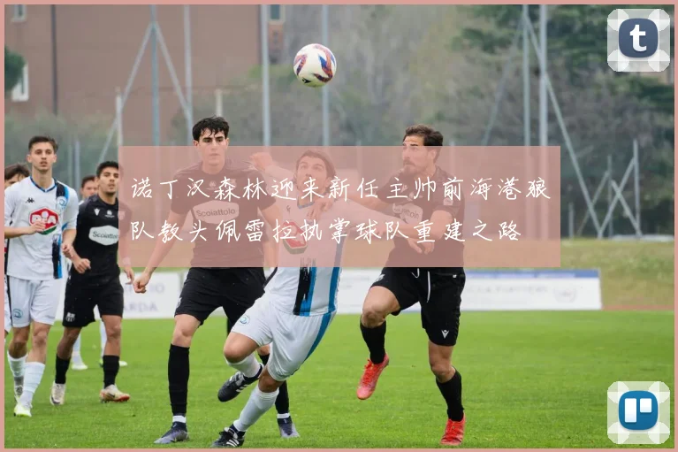 诺丁汉森林迎来新任主帅前海港狼队教头佩雷拉执掌球队重建之路